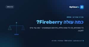 כמה עולה Fireberry — מחירון התוכניות